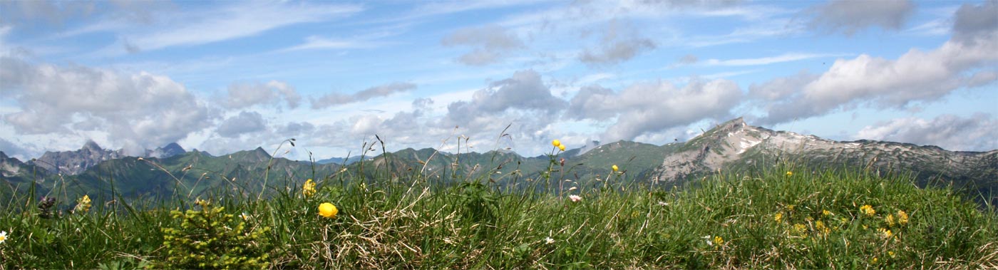 Panoramablick auf dem Weg zur Gehrenspitze im Kleinwalsertal