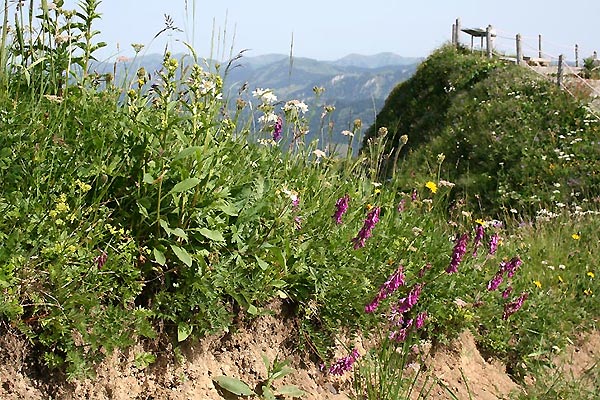 Panoramatafel auf dem Weg zur Gehrenspitze