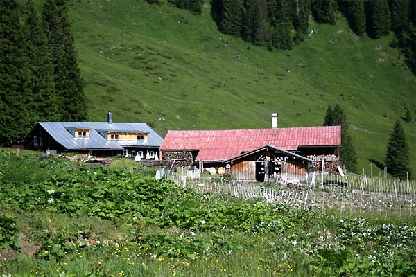 Melköde im Schwarzwassertal