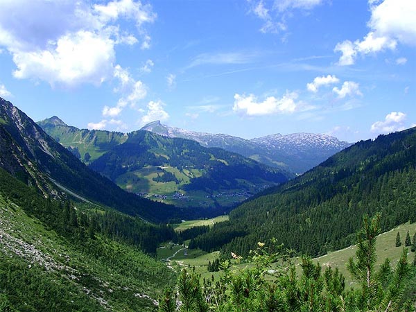 Blick von Hinterwilden auf Mittelberg