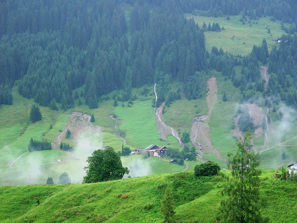 Blick vom Haus: Muren auf der anderen Talseite im August 2005