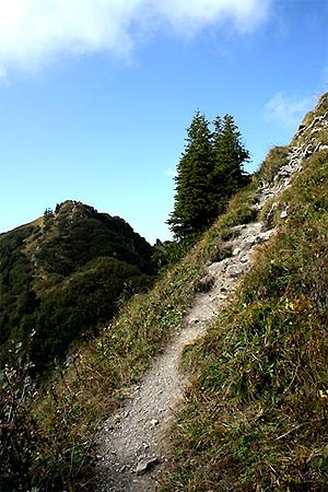 Ochsenhofer Köpfe Gratwanderung