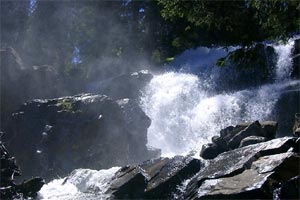 Talwanderungen im Kleinwalsertal