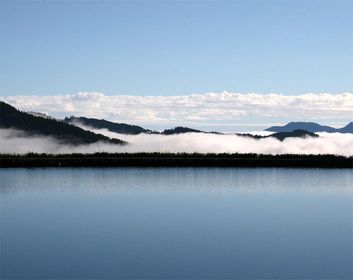 Speichersee am Rohrweg in Mittelberg