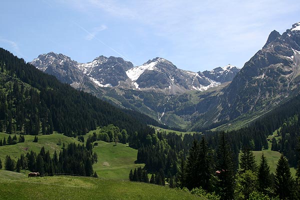 Wildental im Kleinwalsertal