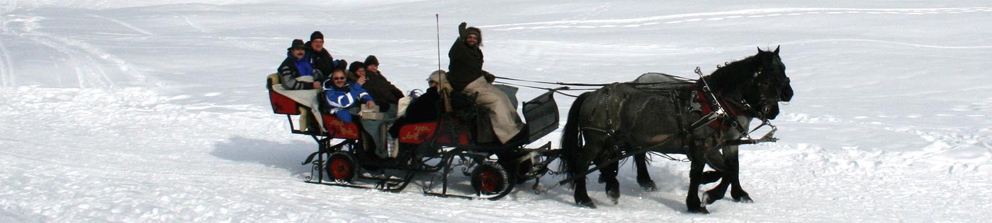 Pferdeschlittenfahrten im Kleinwalsertal