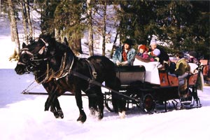 Pferdeschlittenfahrten im Kleinwalsertal