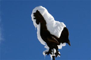 Schneebericht und Lawinenlage im Kleinwalsertal