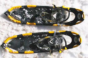 Schneeschuhwandern im Kleinwalsertal